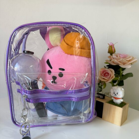 BOLSO TRANSPARENTE PARA CONCIERTOS