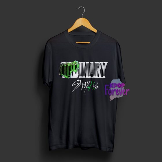 POLERA ODDINARY STRAY KIDS